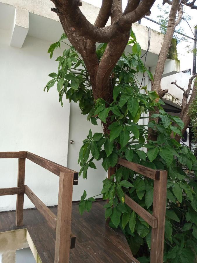 Estudio Zona Centro Cerca De La Terminal Ado Cancún Exteriör bild