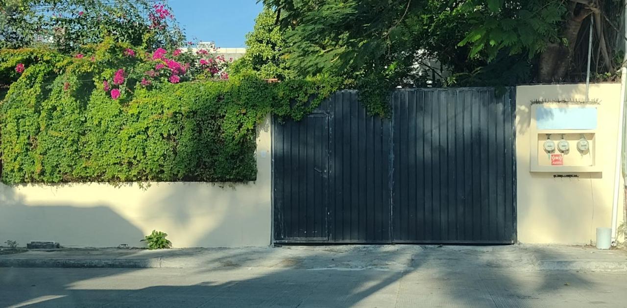 Estudio Zona Centro Cerca De La Terminal Ado Cancún Exteriör bild