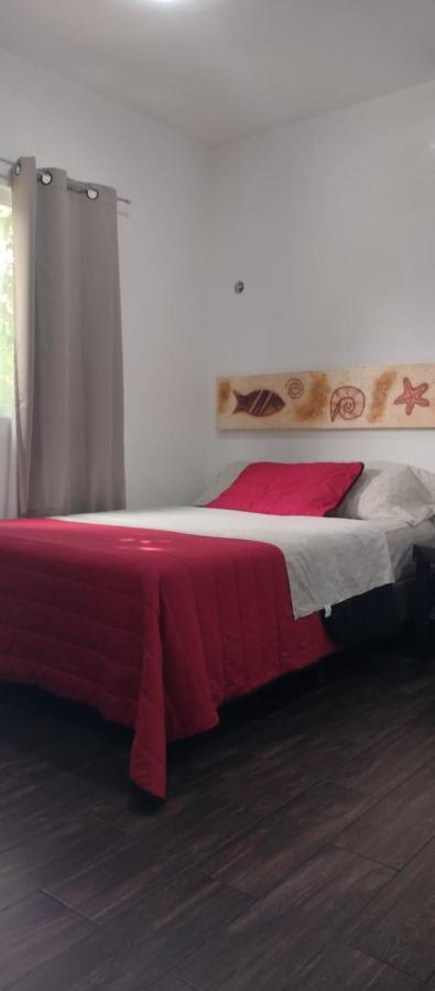 Estudio Zona Centro Cerca De La Terminal Ado Cancún Exteriör bild