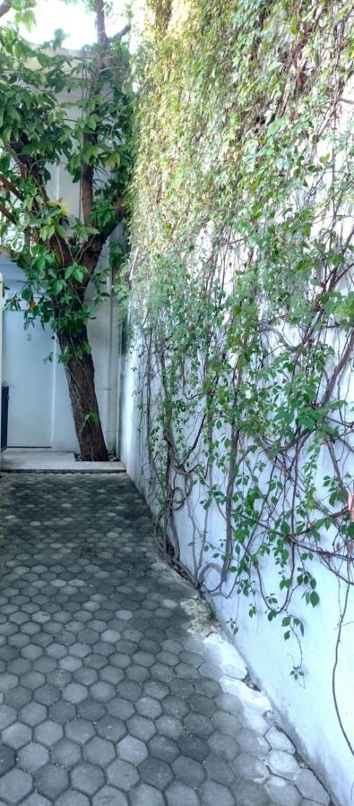 Estudio Zona Centro Cerca De La Terminal Ado Cancún Exteriör bild